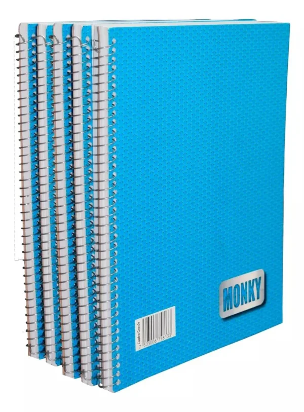 LIBRETA PROFESIONAL 100H